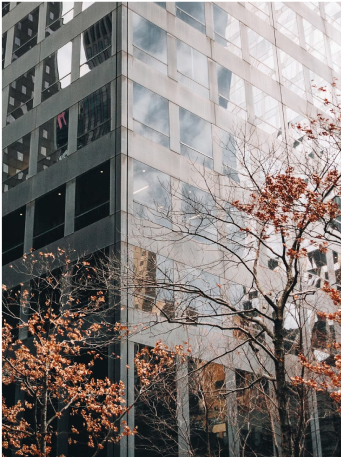 Featured Service Image